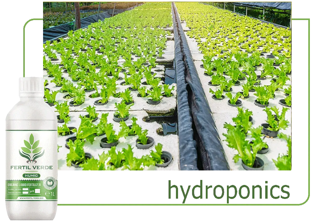 Fertil Verde hydroponic growing application