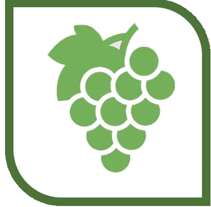 Crop quality symbol: grapes