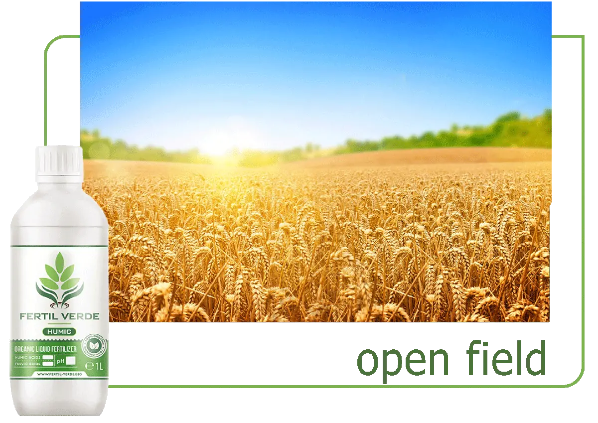 Fertil Verde open-field crop application